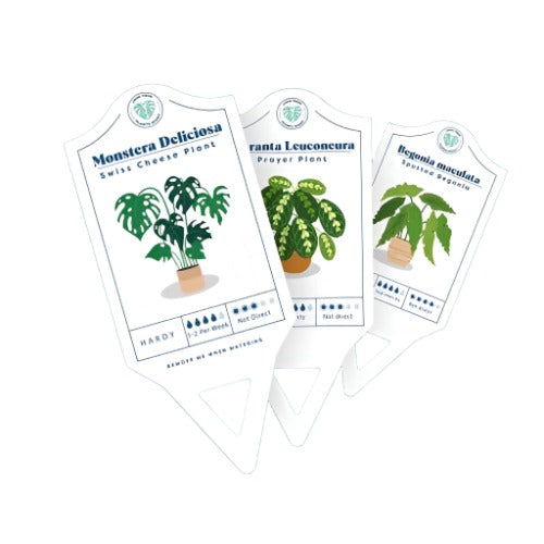 Houseplant Care Tags