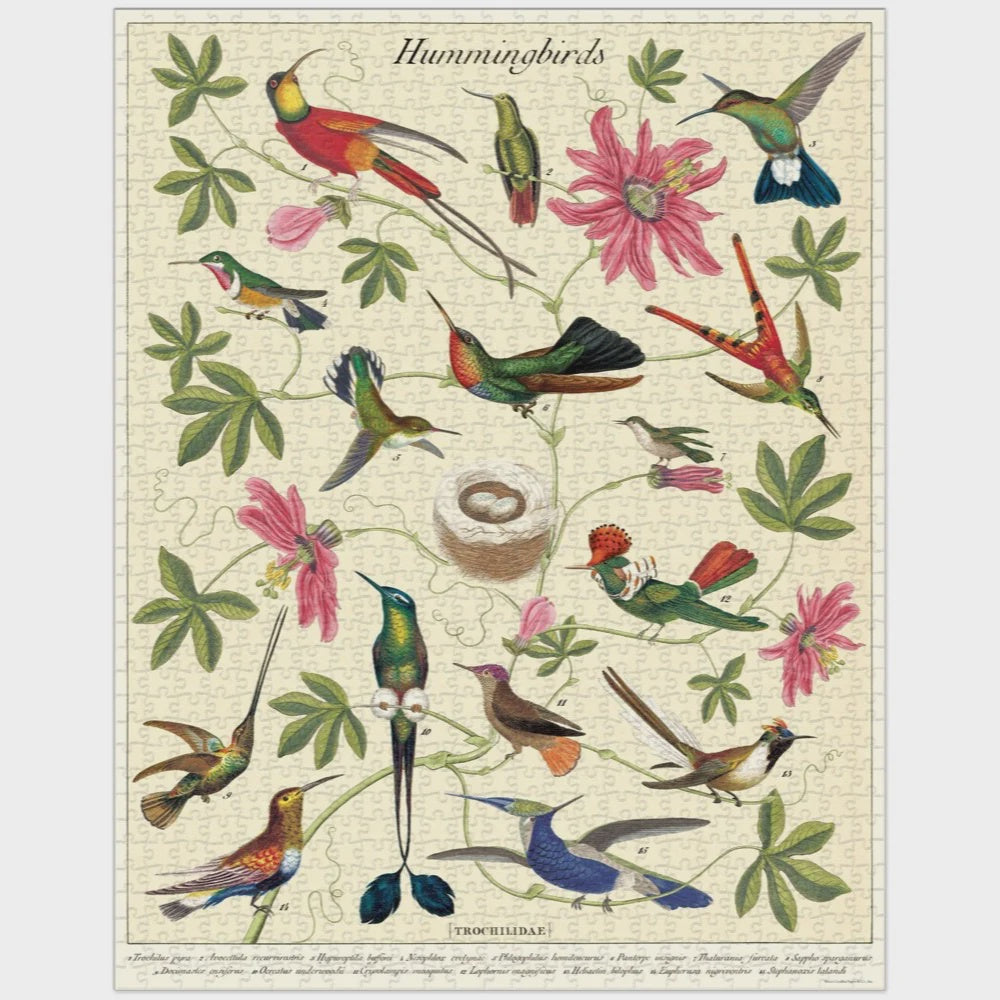 1000pc Vintage Puzzle - Hummingbirds