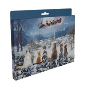 Cat Treat Advent Calendar