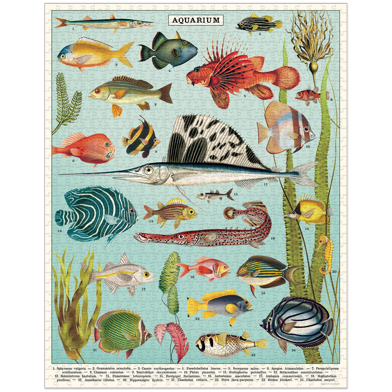 1000pc Vintage Puzzle - Aquarium