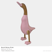 Ducky Boots Pastel