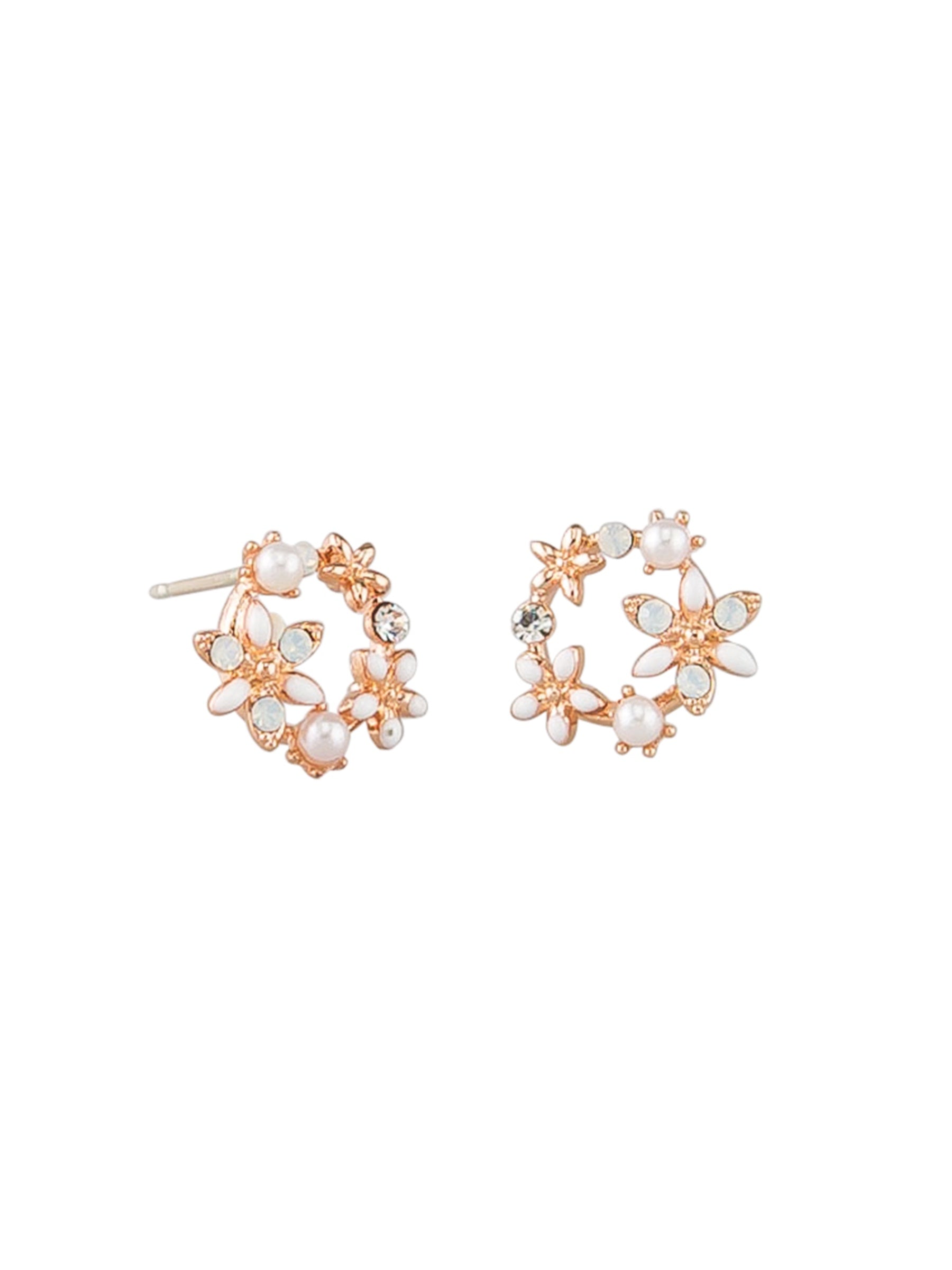Secret Circle Earrings