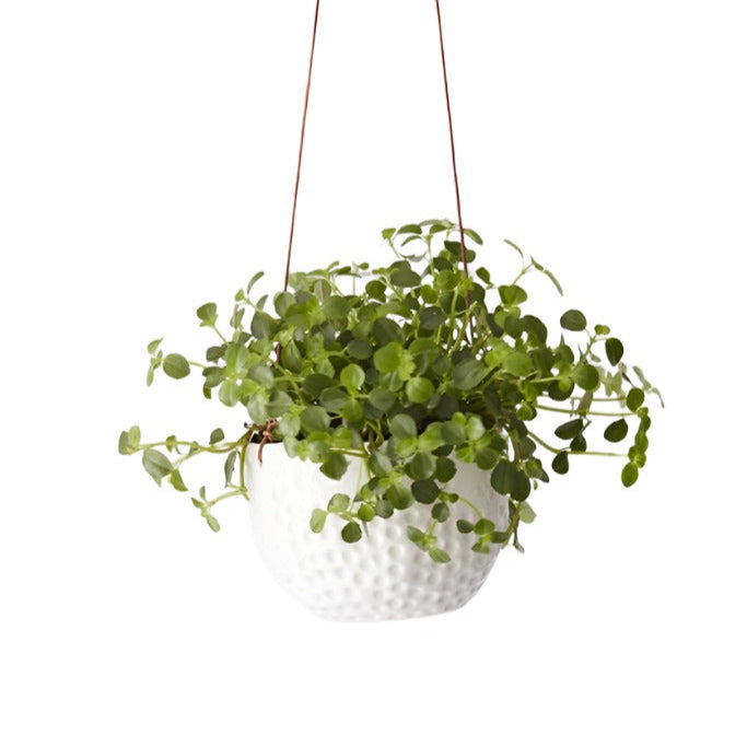 Hanging Pot - Dimple Dot