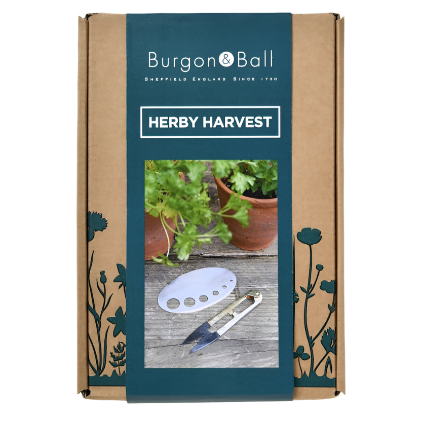 Herby Harvest Set