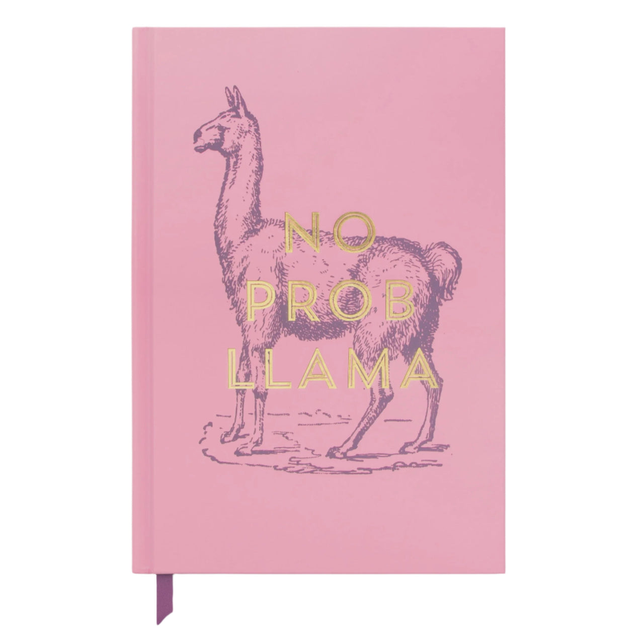 Vintage Sass Journal A5 - No Prob Llama