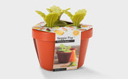 Veggie Pop