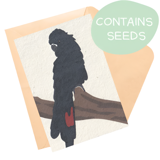Plantable Card - Black Cockatoo