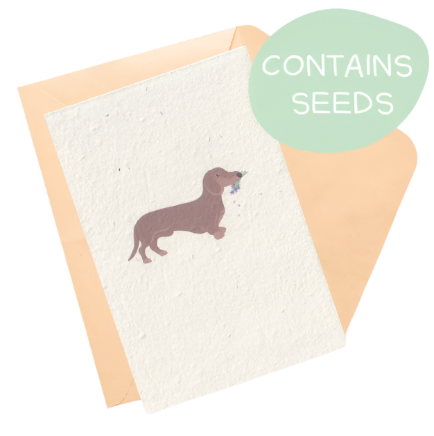 Plantable Card - Dachshund