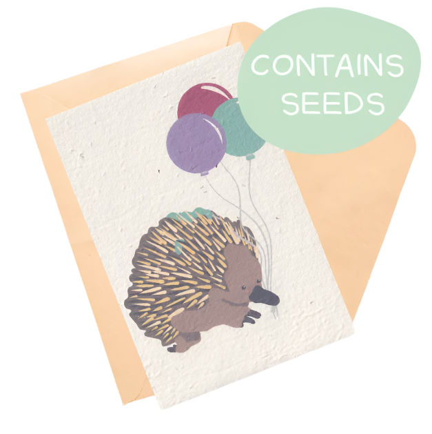 Plantable Card - Echidna With Balloons