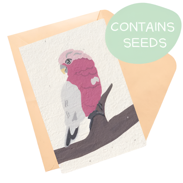 Plantable Card - Galah