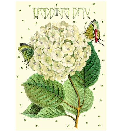 Wedding Day - White Hydrangea