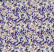 Liberty Print Shoelaces (L) -Wiltshire Bud D Purple