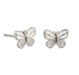 Baby Butterfly Stud Earrings - Silver