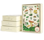8 Assorted Notecards - Foraging