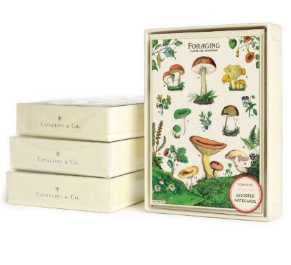 8 Assorted Notecards - Foraging