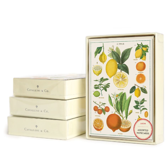 8 Assorted Notecards - Jardin