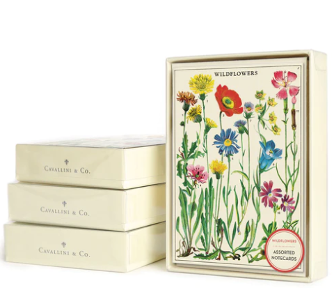 8 Assorted Notecards - Wildflowers