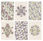 Mixed Pack of 6 Cards - Floriography