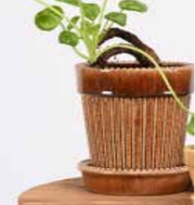 Antoinette Planter with Saucer - Large