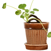 Antoinette Planter with Saucer - Small