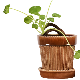 Antoinette Planter with Saucer - Small