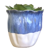 Daffodil Mediterranean Blue Pot - Large