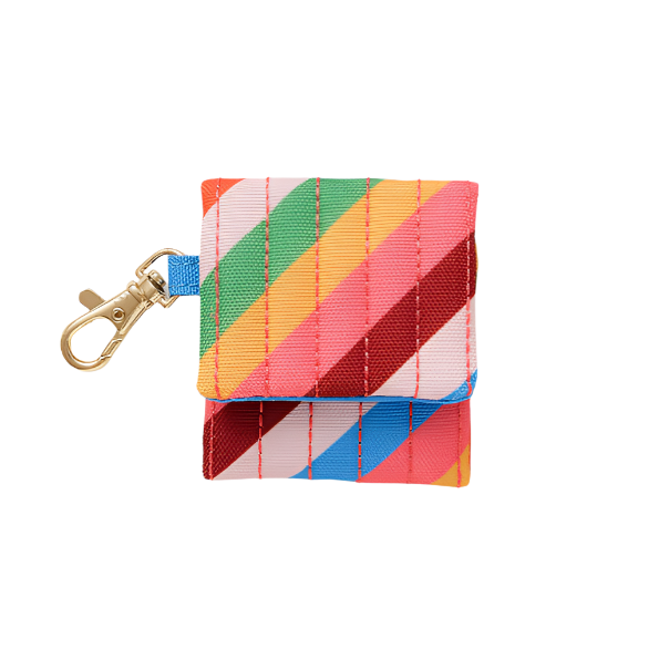 Wireless Earbuds Case - Rainbow Stripe
