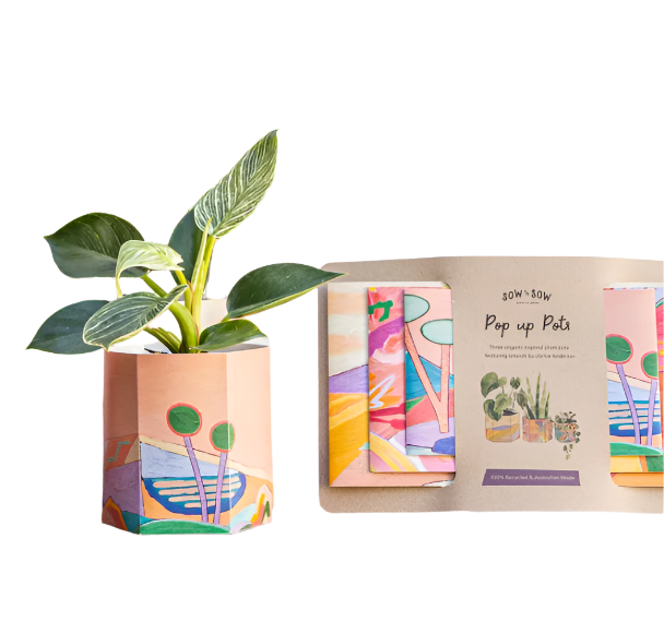 Pop Up Pot - Set of 3