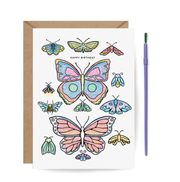Paint With Water Butterfly Card