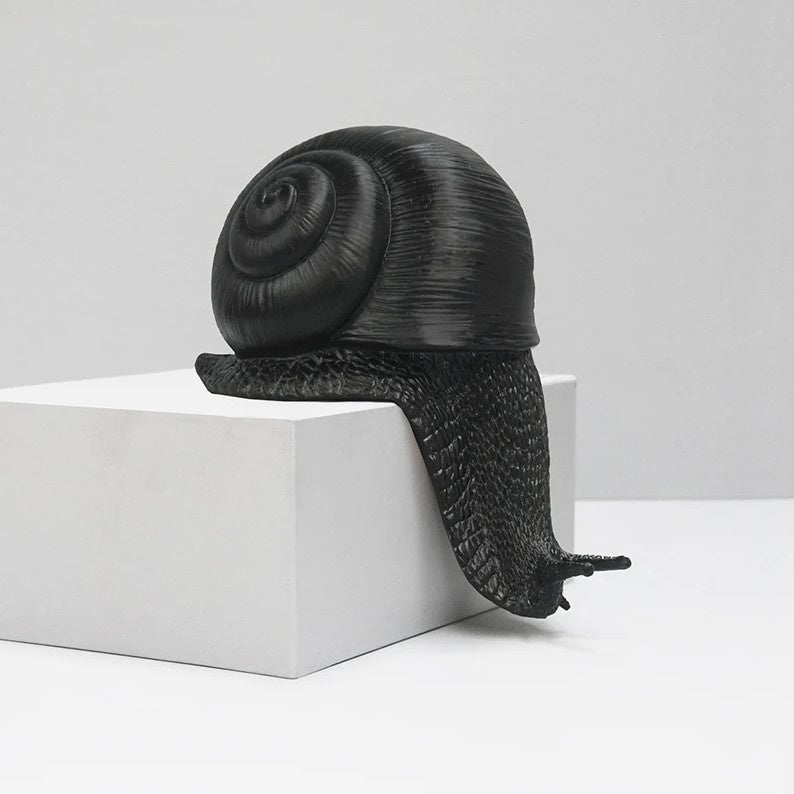 Shelf Snail - Black