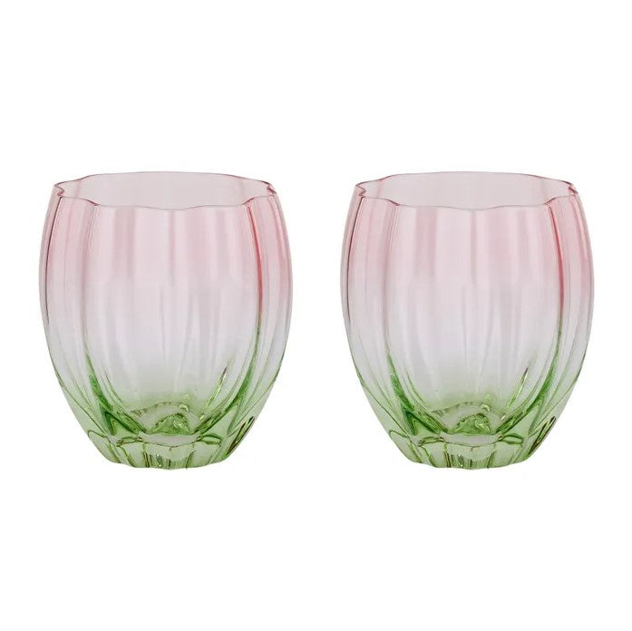 Lotti Tulip Tumbler Glasses Set of 2