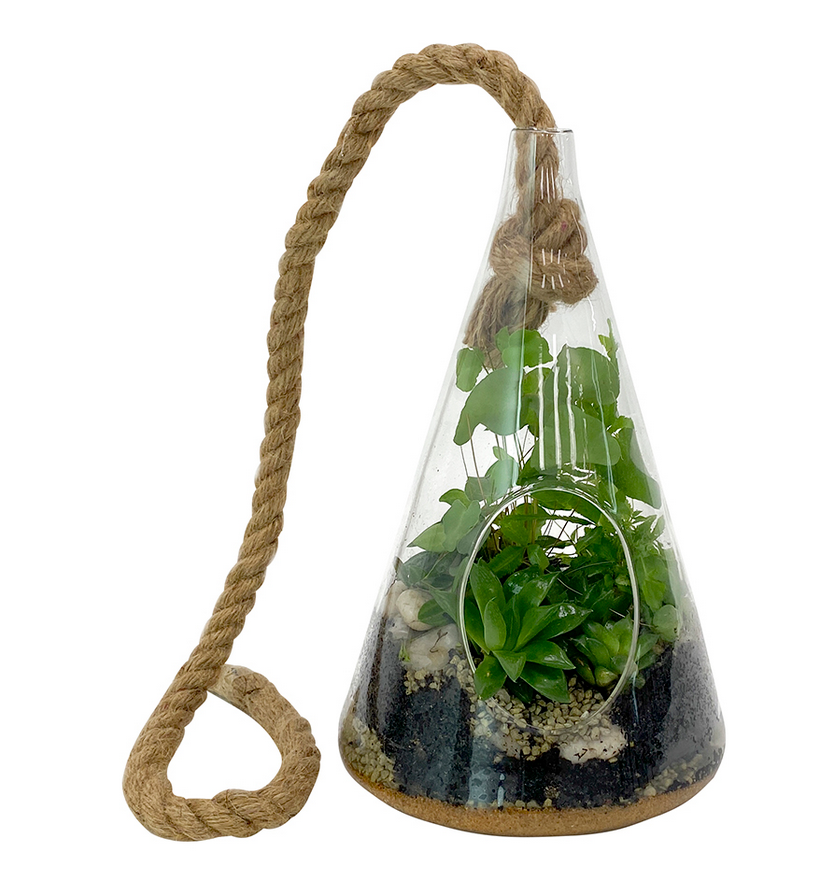 Hanging  Plant Terrarium - Cone