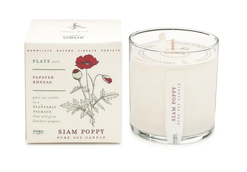 Plant the Box Candle