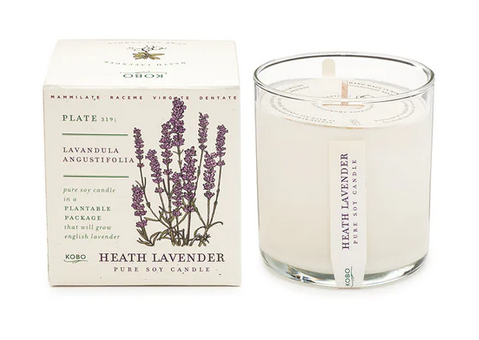 Plant the Box Candle