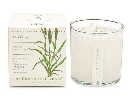Plant the Box Candle