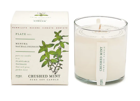 Plant the Box Candle