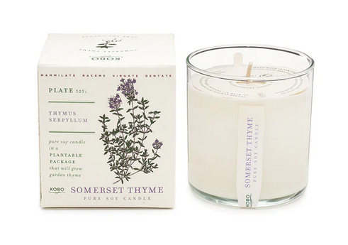 Plant the Box Candle