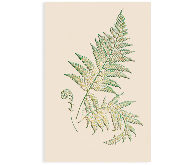Gold Foil Fern Leaves Card