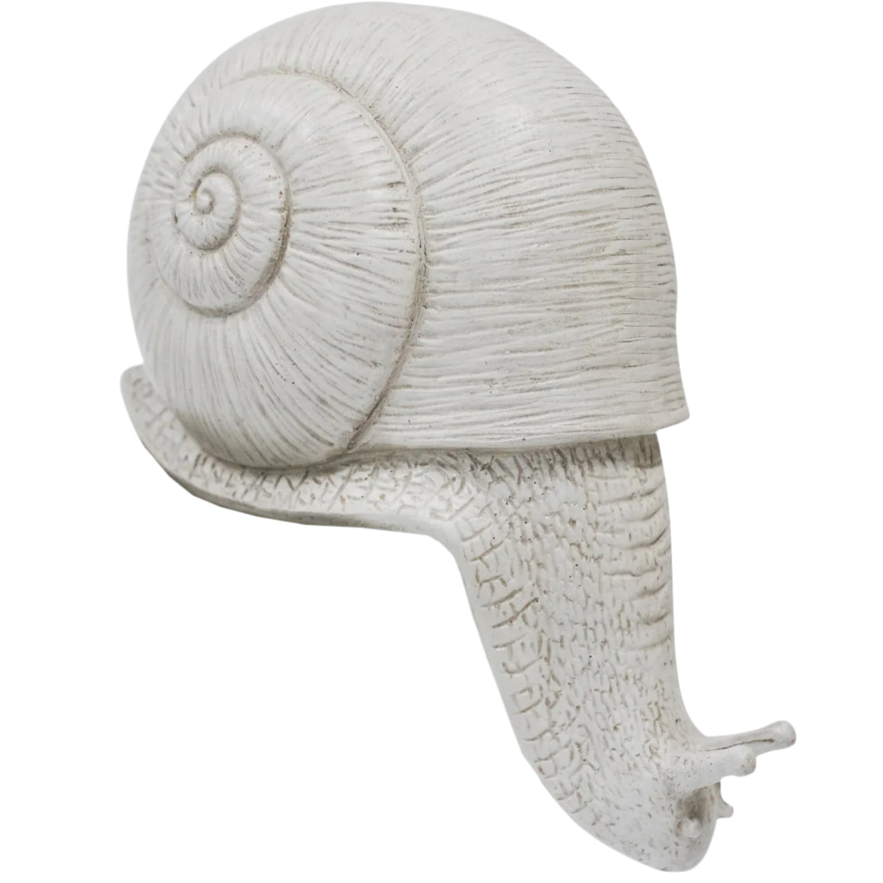 Ledge Snail - White