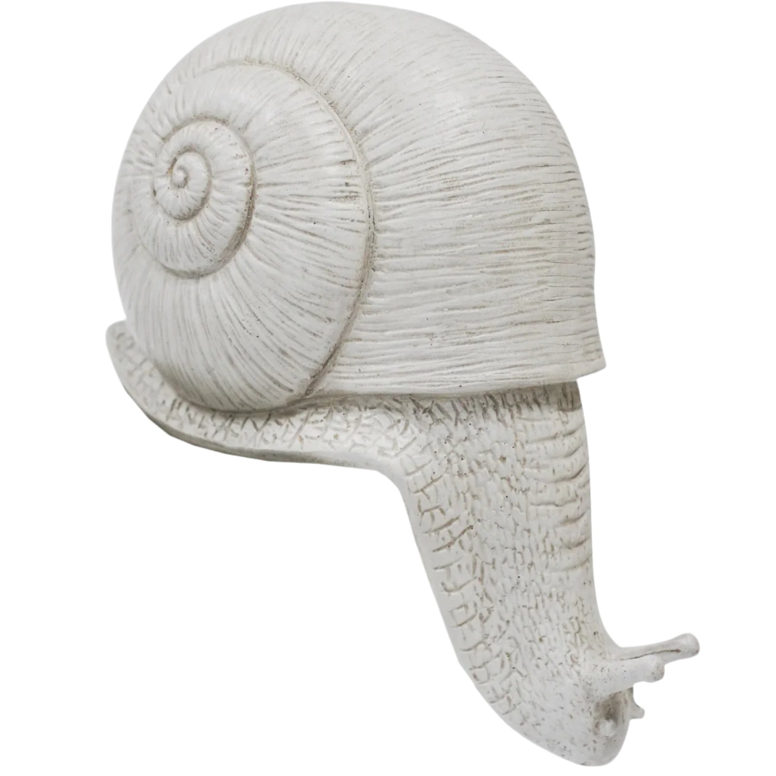 Ledge Snail - White