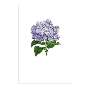 Gold Foil Purple Hydrangea Card