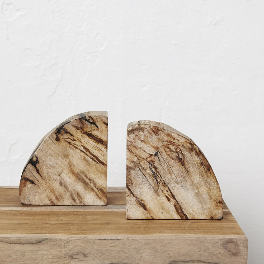 Arcadia Petrified Wood Bookends