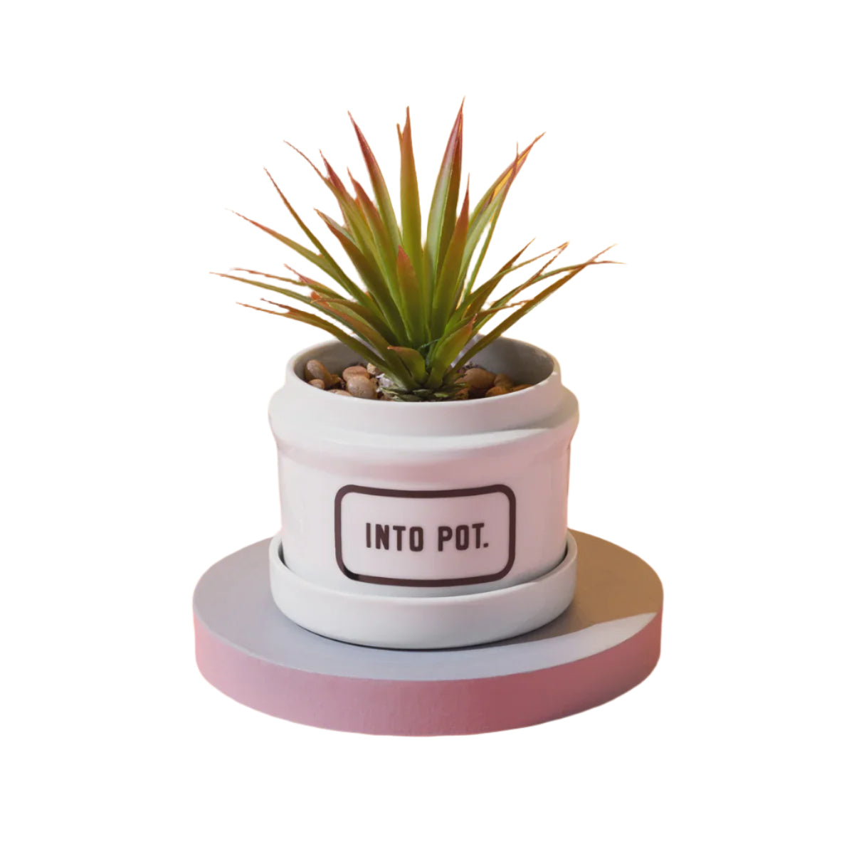 Into Pot Planter with Drip Tray