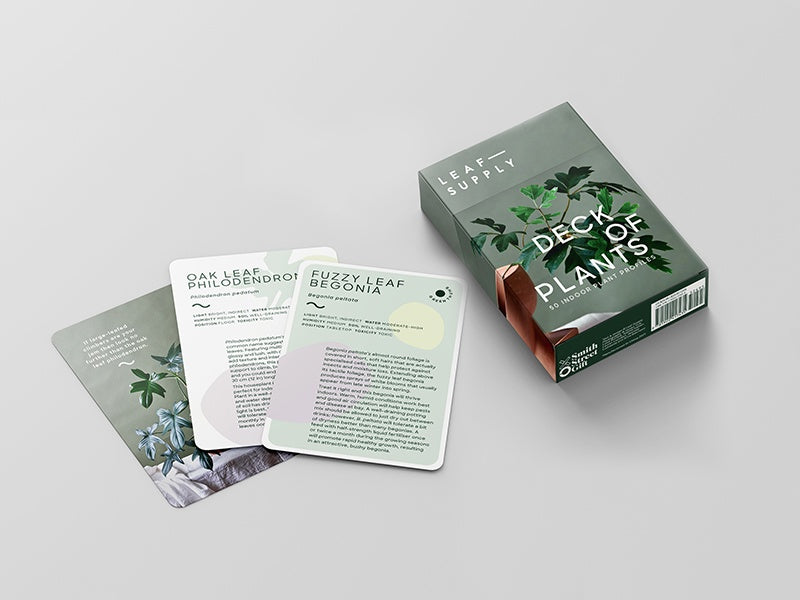 Leaf Supply Deck of Plants