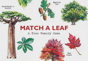 Match A Leaf: A Tree Memory Game