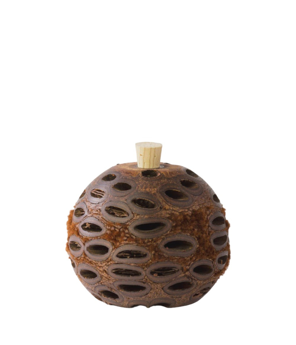 Mini Pod Diffuser Mini Banksia Aroma Pod Diffuser – Wileaway