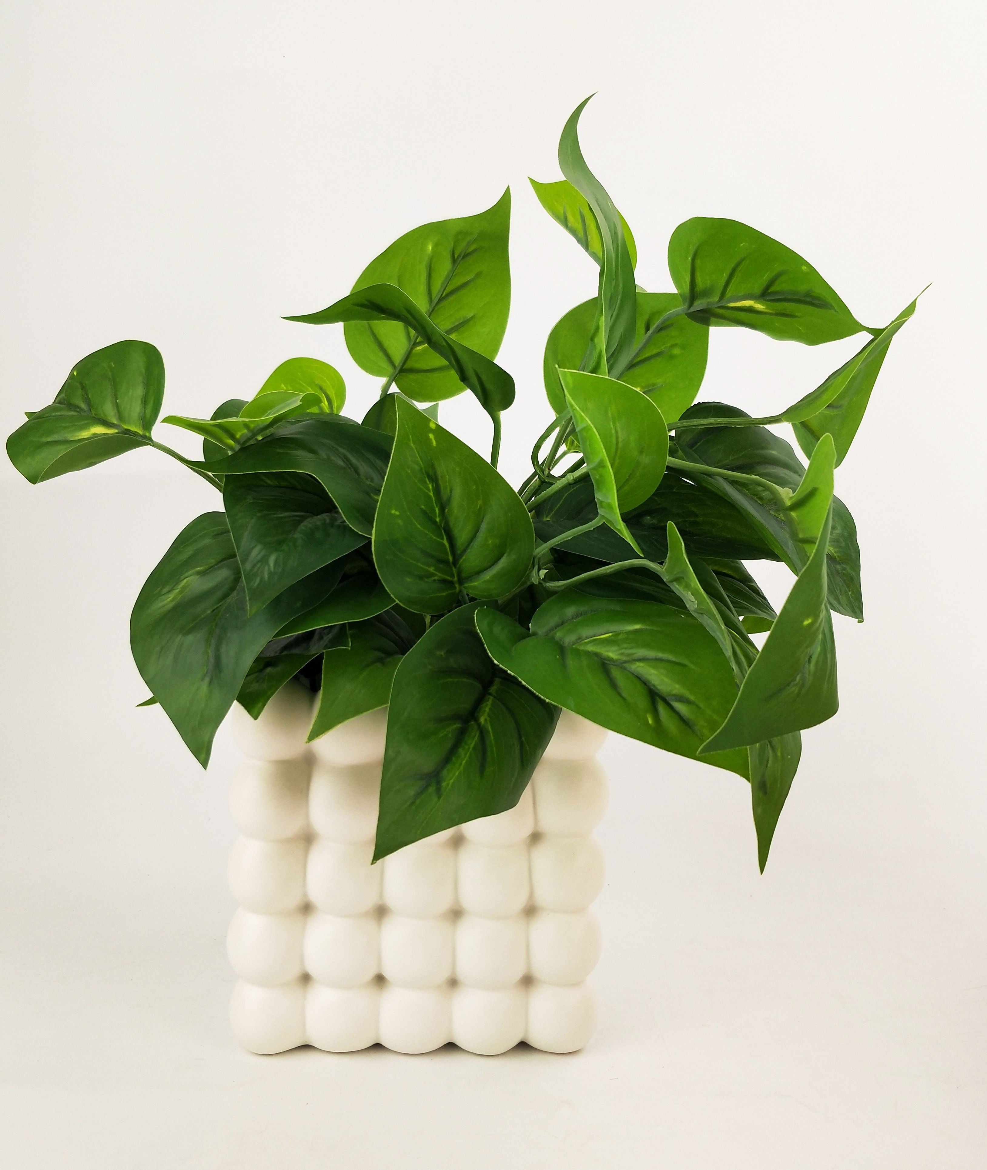 Addie Bubble Planter